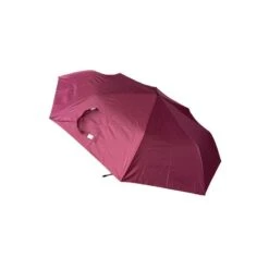 Assortiment Parapluie Ornement Avec Divers Motifs Fantaisie -Accessoires De Mode pdtimg 4892397hd
