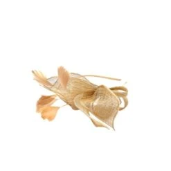Serre-tête De Cérémonie Paré De Plumes Et De Fleurs Stylée -Accessoires De Mode pdtimg 4920929hd
