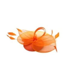 Bibi De Cérémonie à Voilette Avec Plumes Sur Base Ronde -Accessoires De Mode pdtimg 4921285hd