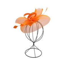 Bibi De Cérémonie à Voilette Avec Plumes Sur Base Ronde -Accessoires De Mode pdtimg 4921287hd