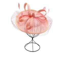 Bibi De Cérémonie à Noeuds Avec Voilette Et Des Plumes -Accessoires De Mode pdtimg 4921491hd