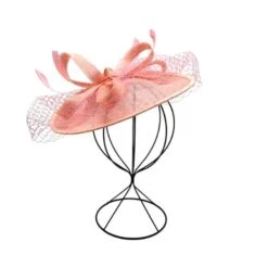 Bibi De Cérémonie à Noeuds Avec Voilette Et Des Plumes -Accessoires De Mode pdtimg 4921497hd