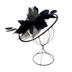 Bibi De Cérémonie à Ornement De Belles Plumes -Accessoires De Mode pdtimg 4921553hd