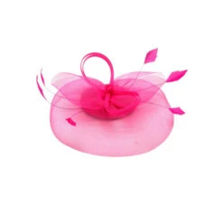 Bibi De Cérémonie à Voilette Avec Plumes Sur Base Ronde Coloris MIX -Accessoires De Mode pdtimg 4921843hd