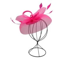 Bibi De Cérémonie à Voilette Avec Plumes Sur Base Ronde Coloris MIX -Accessoires De Mode pdtimg 4921845hd