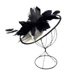 Bibi De Cérémonie à Ornement De Belles Plumes Coloris MIX -Accessoires De Mode pdtimg 4921935hd