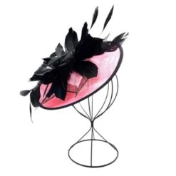 Bibi De Cérémonie à Ornement De Belles Plumes Coloris MIX -Accessoires De Mode pdtimg 4921937hd