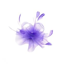 Bibi De Cérémonie Avec Motif Floral Et Plumes élégantes Coloris MIX -Accessoires De Mode pdtimg 4921997hd