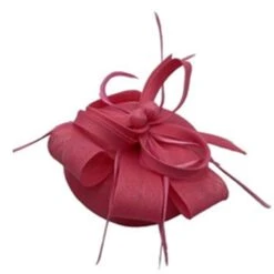 Bibi De Cérémonie Surmonté D'une Boucle Florale Plumes Coloris MIX -Accessoires De Mode pdtimg 4922362hd