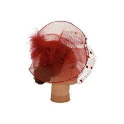 Chapeau De Cérémonie Orné De Fleur, Voilette Et Plumes -Accessoires De Mode pdtimg 4925779hd