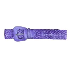 Ceinture Tressée Dotée D'une Boucle De Fermeture Coloris MIX -Accessoires De Mode pdtimg 4931790hd