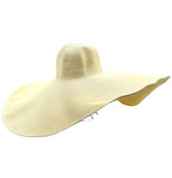 Chapeau à Paille Avec Bord Extrêmement Large -Accessoires De Mode pdtimg 4984330hd