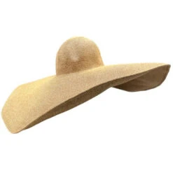 Chapeau à Paille Avec Bord Extrêmement Large -Accessoires De Mode pdtimg 4984335hd