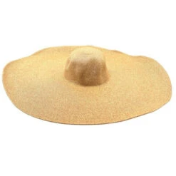Chapeau à Paille Avec Bord Extrêmement Large -Accessoires De Mode pdtimg 4984337hd