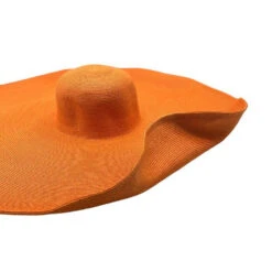 Chapeau à Paille Avec Bord Extrêmement Large -Accessoires De Mode pdtimg 4984343hd
