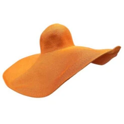Chapeau à Paille Avec Bord Extrêmement Large -Accessoires De Mode pdtimg 4984344hd