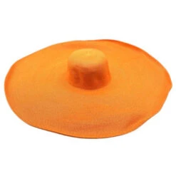Chapeau à Paille Avec Bord Extrêmement Large -Accessoires De Mode pdtimg 4984346hd