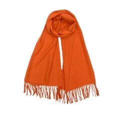 Écharpe Hijab Unisexe Avec Franges Aux Extrémités Coloris MIX 29 Écharpe Hijab Unisexe Avec Franges Aux Extrémités Coloris MIX -Accessoires De Mode pdtimg 4993864hd