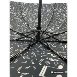 Parapluie Pliant En Fibre De Polyester Orné D'un Motif -Accessoires De Mode pdtimg 4996131hd