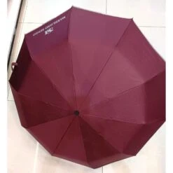 Parapluie Anti-tempête Ouverture Automatique En Polyester Noir à 10 Baleines -Accessoires De Mode pdtimg 4996488hd