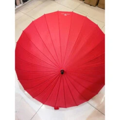 Grand Parapluie 24 Baleines En Toile Polyester Avec Poignée Droite -Accessoires De Mode pdtimg 4996516hd