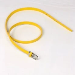 Ceinture Croûte De Cuir Avec Une Boucle Ardillon Classique -Accessoires De Mode pdtimg 4999752hd