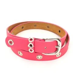 Ceinture Cuir Et Synthétique Rehaussée D'œillets Argentés -Accessoires De Mode pdtimg 4999875hd