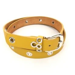 Ceinture Cuir Et Synthétique Rehaussée D'œillets Argentés -Accessoires De Mode pdtimg 4999877hd