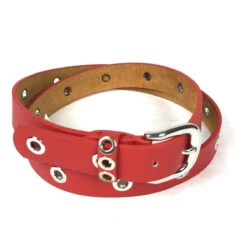 Ceinture Cuir Et Synthétique Rehaussée D'œillets Argentés -Accessoires De Mode pdtimg 4999882hd