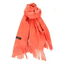 Écharpe Laine Et Cachemire Avec Des Bords Frangés 30 Écharpe Laine Et Cachemire Avec Des Bords Frangés -Accessoires De Mode pdtimg 5004370hd