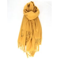 Écharpe Laine Et Cachemire Avec Des Bords Frangés 37 Écharpe Laine Et Cachemire Avec Des Bords Frangés -Accessoires De Mode pdtimg 5004377hd