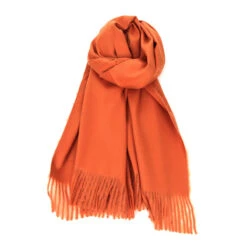 Écharpe Laine Et Cachemire Avec Des Bords Frangés 39 Écharpe Laine Et Cachemire Avec Des Bords Frangés -Accessoires De Mode pdtimg 5004379hd