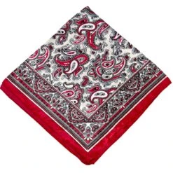 Bandana Carré Effet Satiné Habillé De Motifs Paisley -Accessoires De Mode pdtimg 5009869hd
