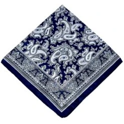 Bandana Carré Effet Satiné Habillé De Motifs Paisley -Accessoires De Mode pdtimg 5009871hd