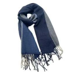 Écharpe Color Block Aux Motifs Texturés Avec Franges 16 Écharpe Color Block Aux Motifs Texturés Avec Franges -Accessoires De Mode pdtimg 5013461hd