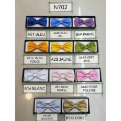 Noeud Papillon Pré-noué En Tissu Satiné Couleur Assortie