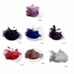 Bibi De Cérémonie Avec Fleur à Voilette Et Détail Plumes Coloris MIX