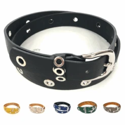 Ceinture Cuir Et Synthétique Rehaussée D'œillets Argentés